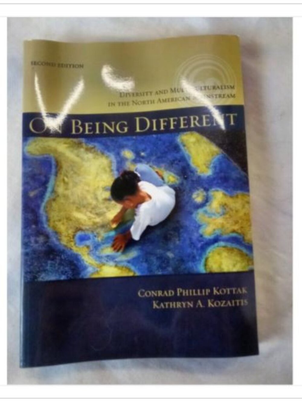 On Being Different: Diversity and Multiculturalism in the North American Mainst